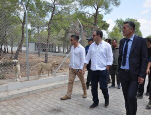 Silifke’de doğal yaşam alanı incelendi