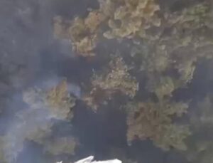 Sındırgı’da kamyon yangını ormana sıçradı: İkinci gün
