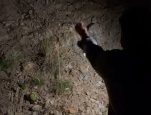 Uludağ Yolunda Tilkiye Ellerinden Ekmek Verdi: O Anlar Kamerada