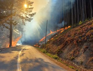 Uludağ’da yol kenarı yangını: Havadan ve karadan müdahale
