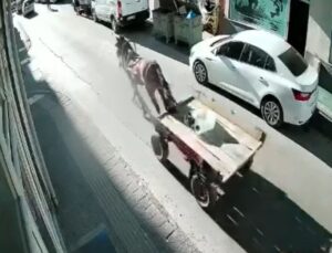 Uzunköprü’de Sürücüsüz At Arabası Park Halindeki Otomobile Çarptı