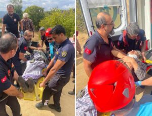 73 yaşındaki kadın ağaçtan düştü