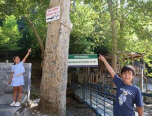 Adana Feke’de mesireye ‘Çöp atan eşektir’ tabelası asıldı, çöpleri çocuklar topladı