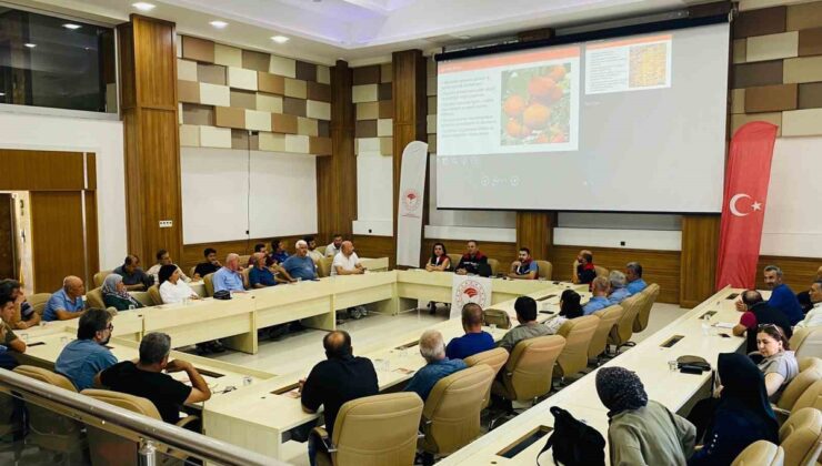 Adana Kozan’da cennet hurması sektörüne hijyen ve gıda güvenilirliği eğitimi verildi