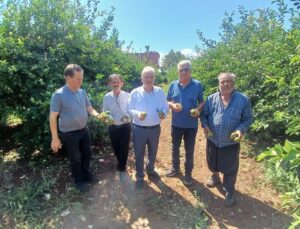 Adana Yüreğir’de dolu, turunçgil başta olmak üzere 35 bin dönüm tarım alanını vurdu
