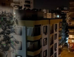 Adana’yı istila ettiler! Geceleri vatandaşın kâbusu oldular