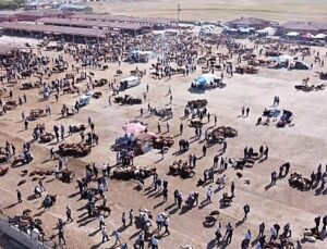 Ağrı’da şap nedeniyle İl Hayvan Borsası 18 Ekim’den itibaren 30 gün kapatıldı