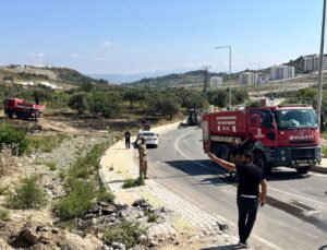 Antakya’da zeytinlik yangını söndürüldü