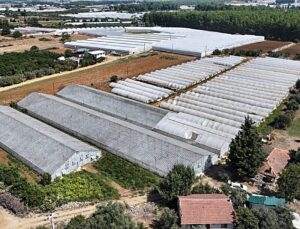 Antalya’da 200 bin dekarlık alandaki seralarda dönüşüm hamlesi