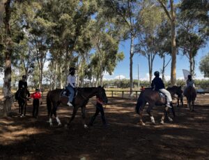 Antalya’daki çalıştayda gençlerin hak arama bilinci ve güvenlik konuları ele alındı