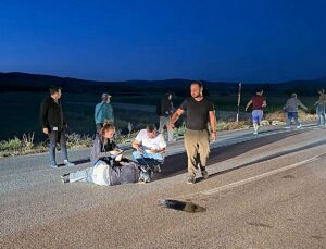 Avrupa turuna çıkan Fransız kadın, motosikletiyle koyunlara çarpıp yaralandı