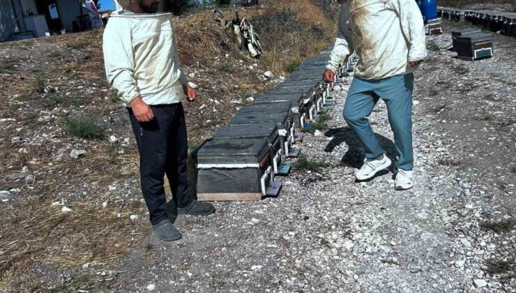 Aydın Didim’de Tarım ve Orman ekipleri arıcıların taleplerini sahada değerlendiriyor
