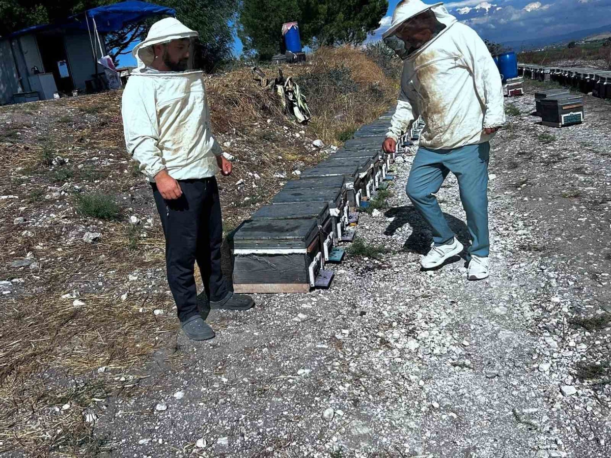 Aydın Didim’de Tarım ve Orman ekipleri arıcıların taleplerini sahada değerlendiriyor