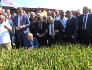 Bafra’da 400 bin liralık bağışla Osman Akbaş Türkiye’nin ilk çeltik ağası oldu