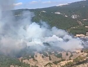 Balıkesir Karesi’de orman dışı alanda çıkan yangın ormana sıçradı
