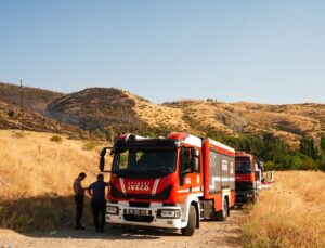 Başkentte ağaçlık alanda çıkan yangın söndürüldü