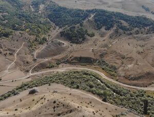 Bayburt’ta 3 projeyle 415 hektar alana 118 bin fidan dikilecek