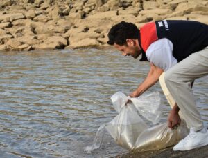 Bayburt’ta göletlere 150 bin sazan yavrusu bırakılarak stoklar güçlendirilecek
