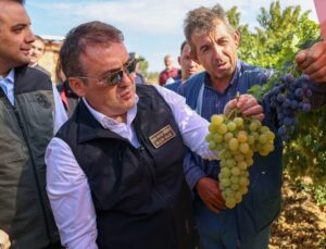 Bilecik Valisi Sözer üzüm hasadına katıldı