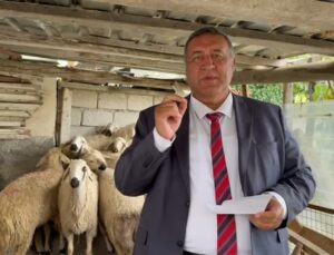 CHP’li Gürer, kırmızı ette 2 yılda yarım milyon ton kayıp olduğunu söyledi