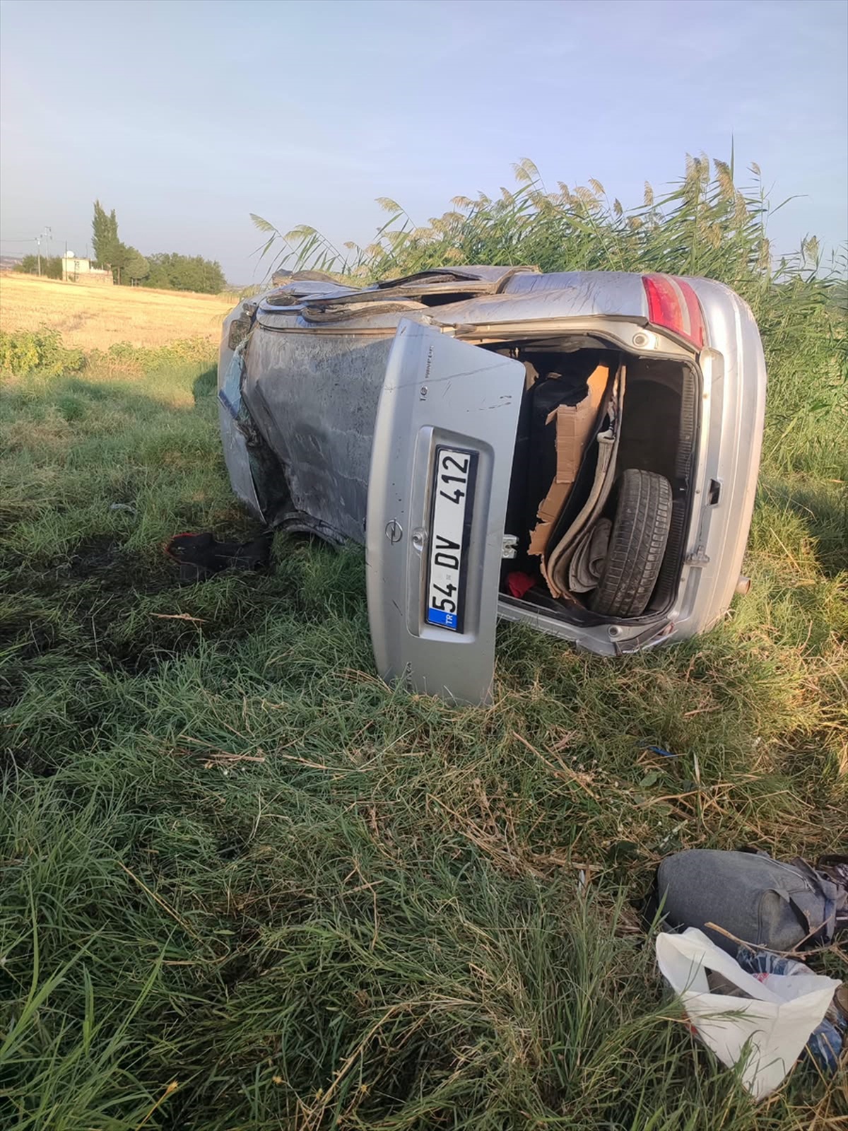 Diyarbakır-Bingöl yolunda otomobil devrildi, 4’ü çocuk 9 kişi yaralandı