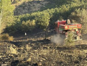 Elazığ’da Orman Yangını Kontrol Altına Alındı