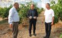Erzin Kaymakamı Akpınar, avokado ve mango üretilen serayı ziyaret etti