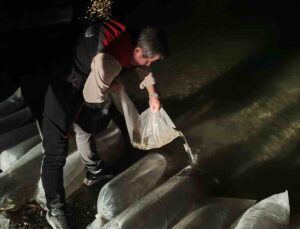 Erzurum İl Tarım ve Orman Müdürlüğü iç sulara 340 bin yavru sazan bıraktı
