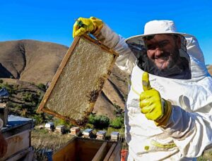 Gümüşhane’de bal sezonu kapandı, rekolte yüzde 40-50 geriledi