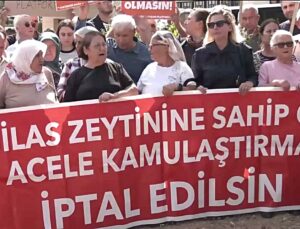 Hak savunucularından “acele kamulaştırma” projelerine tepki: Bir şirketi binlerce hayvana tercih ediyorlar