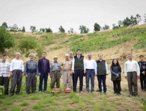 Hakkari Şemdinli’de üzüm hasadı başladı, Kaymakam Erdoğan üreticilerle buluştu