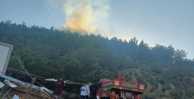 Hassa’da Orman Yangını Kontrol Altına Alındı