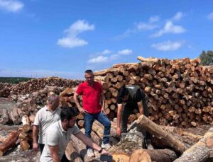 Hatay Orman Bölge Müdürü Günay, Sahil Orman Deposu’nda barkodlu ürünleri inceledi