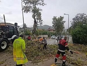 Hatay Yayladağı’nda fırtınada park halindeki aracın üzerine ağaç devrildi