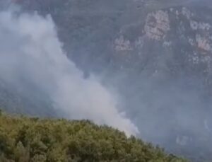 Hatay’da orman yangını