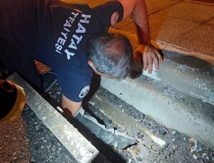 İtfaiye ekipleri Hatay İskenderun’da mahsur kalan hayvanları güvenle kurtardı