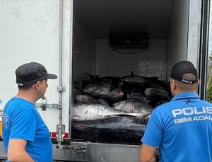 İzmir Güzelbahçe’de 3 ton orkinos ele geçirildi, 2 kişi hakkında işlem başlatıldı.