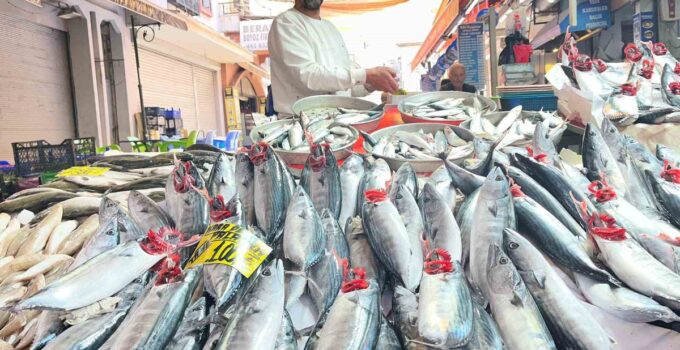 İzmir’de palamut bolluğu yaşanıyor, tanesi 100 liradan alıcı buluyor
