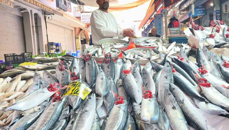 İzmir’de palamut bolluğu yaşanıyor, tanesi 100 liradan alıcı buluyor