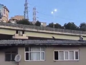 Kağıthane’de viyadük altında gördüğü kişiden şüphelenip canlı yayın yaptı; asılsız ihbardan ceza yazıldı