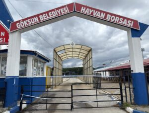 Kahramanmaraş Göksun’da Göksun Belediyesi Hayvan Borsası şap nedeniyle kapatıldı