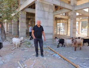 Kahramanmaraş’ta inşaatta bulunan 9 keçi için esnaf sahibini arıyor
