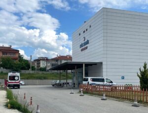 Kastamonu Taşköprü’de orman işçisi arı sokması sonucu hayatını kaybetti