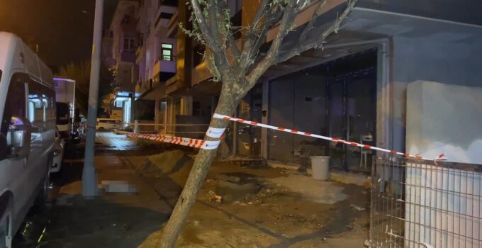 Küçükçekmece’de aydınlatma direğinin yanında akıma kapılan köpek öldü! Kurtarmaya çalışan sahibi de çarpıldı