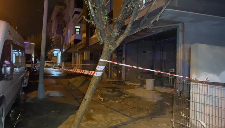 Küçükçekmece’de aydınlatma direğinin yanında akıma kapılan köpek öldü! Kurtarmaya çalışan sahibi de çarpıldı