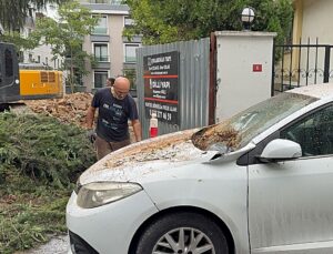 Maltepe’de kesilen ağacın iki aracın üzerine devrilmesi kamerada