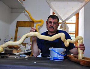 Manisa Şehzadeler’de böbreğini ağabeyine bağışlayan usta, çınar dalından piton yaptı