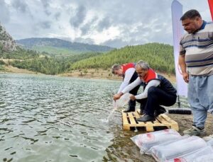 Mersin’de balıklandırma projesi 9 ilçede 347 bin yavru sazanı suyla buluşturdu