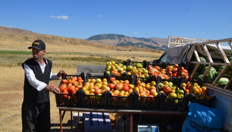 Muş’ta çiftçiler, yaklaşık 29 yıl sonra Kozma Dağı eteklerinde hasada başladı