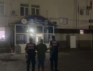 Ormanda kenevir yetiştirirken suçüstü yakalandı